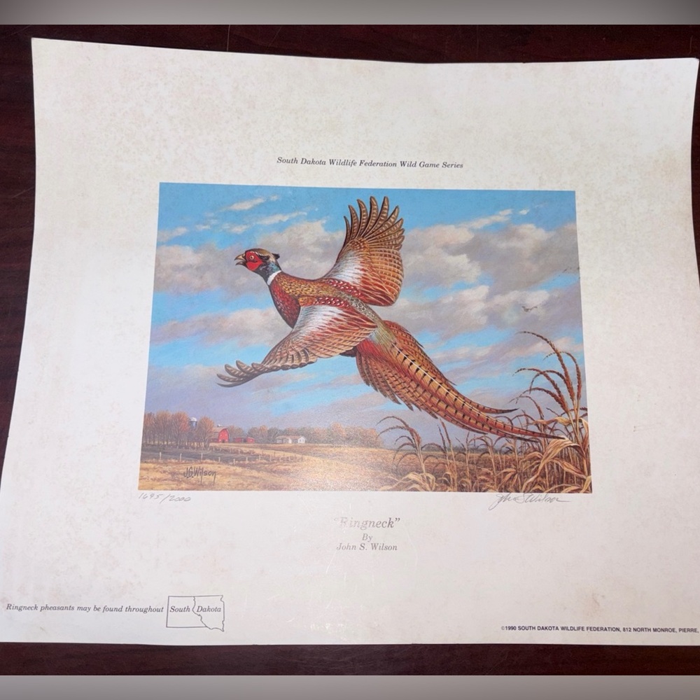Pheasant Print S.D. Ring neck pheasant by John S.Wilson signed unframed 12x14